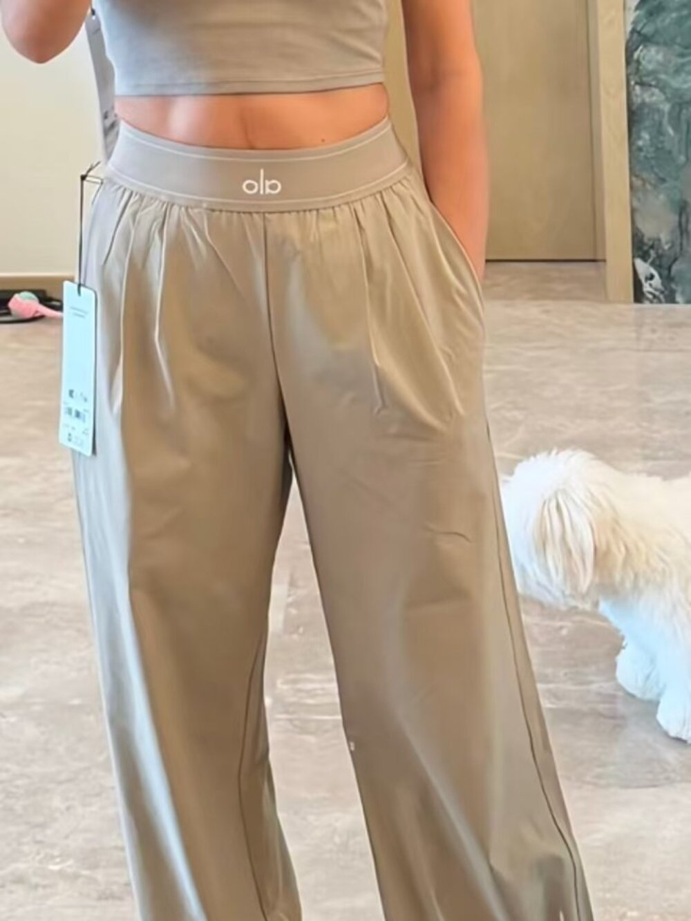 Gravel ALO Yoga🌸Suit Up Trouser（Regular）| Relaxed Fit💗Everyday Versatile Chic - Picture 9 of 9